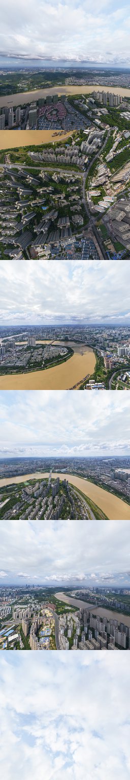 柳沙