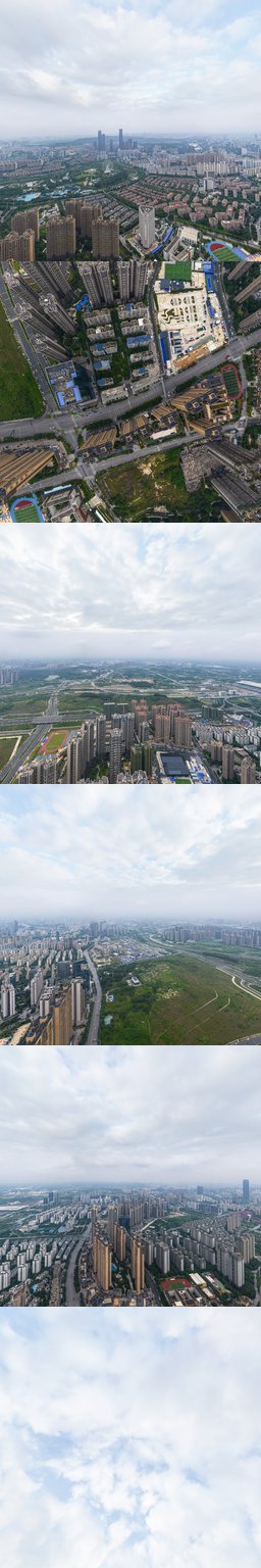 千千树